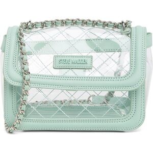 NWT Steve Madden Clear Bag
